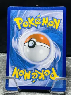 Pikachy SWSH234 Holo Black Star Promo Pokemon GO Pokemon TCG English NM - Image 2