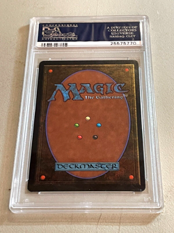SCRUBLAND / PSA 9 Mint / Revised Edition / 1994 / MTG Magic the Gathering / Card - Image 2