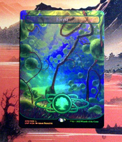 MTG Forest (239) (Borderless) Foil UNF 239 NM L - Image 1