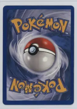 Teddiursa Pokemon e-Card Series Skyridge #109 2003 - Image 2