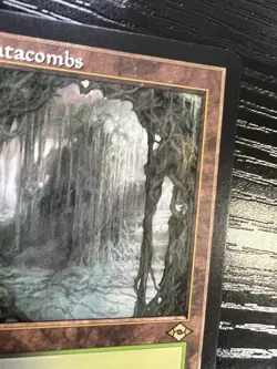 Verdant Catacombs (Retro Frame) Modern Horizons 2 Regular - Image 3