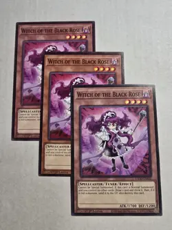 3x Witch of the Black Rose 1st Edition Common L5DD-ENA02 Yu-Gi-Oh! - Image 1