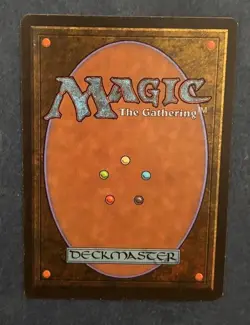 MTG JAPANESE BLACK BORDERED SAVANNAH LIONS FBB MAGIC THE GATHERING WHITE RARE - Image 2
