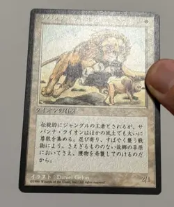 MTG JAPANESE BLACK BORDERED SAVANNAH LIONS FBB MAGIC THE GATHERING WHITE RARE - Image 3