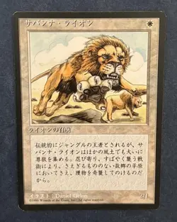 MTG JAPANESE BLACK BORDERED SAVANNAH LIONS FBB MAGIC THE GATHERING WHITE RARE - Image 5