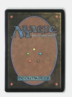Stormcarved Coast 263 Secrets of Strixhaven MTG NM - Image 2