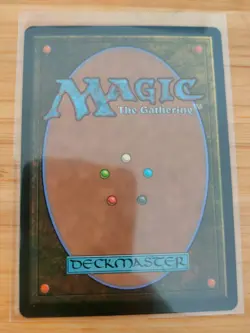 MTG Dour Port-Mage (FOIL Showcase) 0303 Bloomburrow M/NM Free UK P&P - Image 2