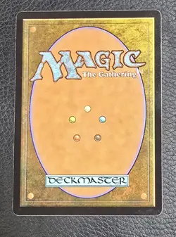 Elegant Parlor (Borderless) Murders at Karlov Manor Regular MTG NM Magic Card - Image 2