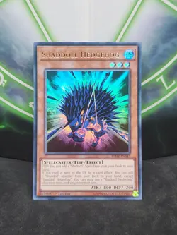 Yugioh Shaddoll Hedgehog BLHR-EN081 Ultra Rare 1st Edition NM - Image 1