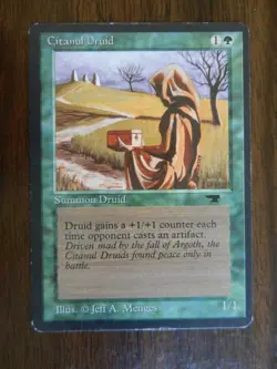 MTG - Citanul Druid - Antiquities - Light Play - Uncommon - Image 1