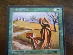 MTG - Citanul Druid - Antiquities - Light Play - Uncommon - Image 2