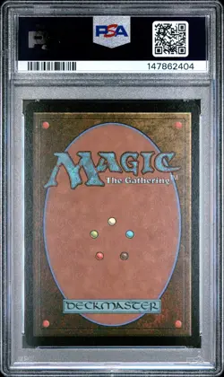 2025 MTG FINAL FANTASY CHOCOBO BUNDLE #0569 CHOCO, SEEKER OF PARADISE PSA 10 - Image 2