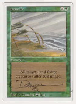Signed Hurricane MP Revised Edition Artist Dameon Willich 1994 MTG Magic Vintage - Image 1