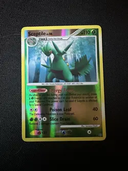 Pokemon TCG Sceptile 10/100 Reverse Holo 2008 Ungraded - Image 1