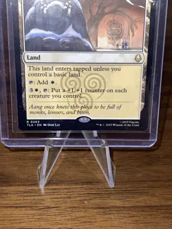 Abandoned Air Temple 263 Avatar: The Last Airbender MTG Land Base - Image 4