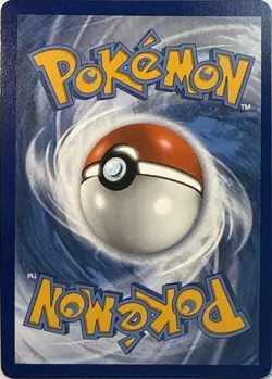 Gible SV38/SV94 Shiny Rare Hidden Fates Shiny Vault Pokemon NM - Image 2