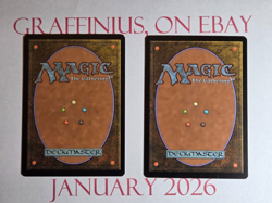 2x Solitary Confinement -Judgement - LP (excellent) - MTG Magic The Gathering - Image 2