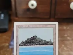 TROPICAL ISLAND REVISED MAGIC THE GATHERING LP OLD SCHOOL VINTAGE LEGACY MTG - Image 3
