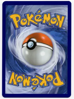 Wailord Journey Together 162/159 Special Illustration Rare 2025 Pokemon TCG NM - Image 4