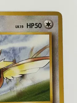 Koga's Pidgey No.016 vintage old back Japanese pokemon card From Japan - Image 3