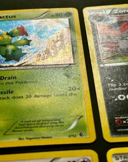 Pokemon TCG Holo Promo Minccino, Maractus, Zoroark + Cinccino Black & White 2011 - Image 4