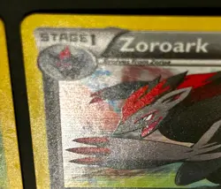 Pokemon TCG Holo Promo Minccino, Maractus, Zoroark + Cinccino Black & White 2011 - Image 5