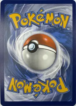 Paldean Clodsire ex 091 HOLO Double Rare Paldean Fates Pokemon Near Mint - Image 2