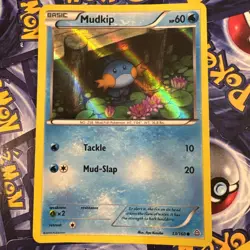 Mudkip - (Sheen Holo) 033/160 Miscellaneous Cards & Products Holo DMG - Image 1