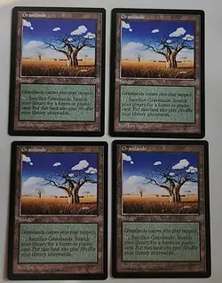 4 Grasslands Mirage Regular NM Near Mint MTG - Image 1