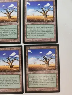 4 Grasslands Mirage Regular NM Near Mint MTG - Image 3