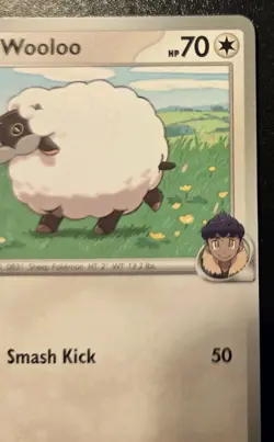 Hop's Wooloo 135/159 Common Scarlet & Violet: Journey Together Pokemon TCG - Image 3