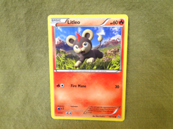 Pokemon Trading Card - Flashfire: Litleo 19/106 - Image 1