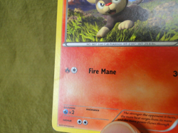 Pokemon Trading Card - Flashfire: Litleo 19/106 - Image 4