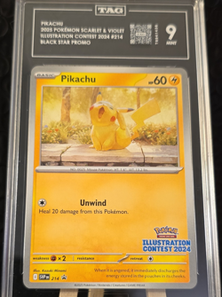 The Pokemon Company Pikachu 214 Illustration Contest 2024 TAG 9 - Image 1