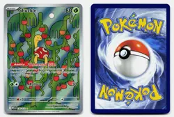 SHUCKLE MEGA EVOLUTION 136/132 NM ILLUSTRATION RARE POKEMON - Image 1
