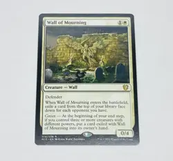 Wall Of Mourning 010/038 Magic The Gathering Trading Card MTG Info Card Tc7 - Image 1