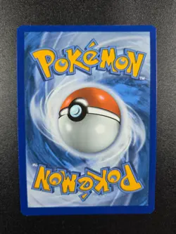 Entei 019/203 SWSH07: Evolving Skies Holo NM Pokemon TCG - Image 2