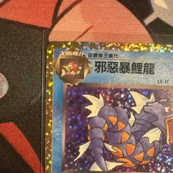 Pokemon Dark Gyarados 005/025 Celebrations 25th Anniversary Chinese - Image 2