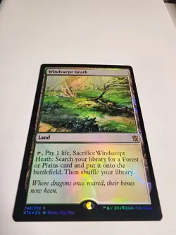 Mtg Windswept Heath Khans of Tarkir Foil NM - Image 3