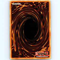 Yugioh Blackwing - Elphin the Raven CT06-ENS01 Limited Ed Secret Rare - VLP-NM💎 - Image 2