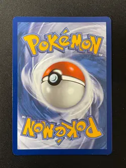 Pokemon Spheal Illustration Rare SV08: Surging Sparks 199/191 NM - Image 2