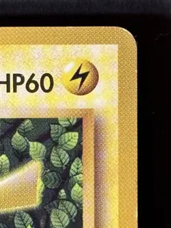 Ivy Pikachu No.025 Corocoro Promo Old back Glossy Pokemon Card Japanese 1998 - Image 3