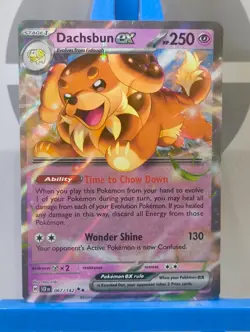 Dachsbun EX - 067/142 - S&V: Stellar Crown - Double Rare - Pokemon TCG - Image 3
