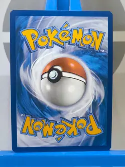 Dachsbun EX - 067/142 - S&V: Stellar Crown - Double Rare - Pokemon TCG - Image 5