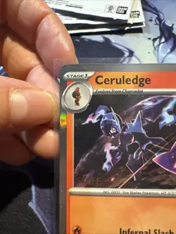 Pokemon TCG Ceruledge Phantasmal Flames MEP Prerelease Staff Promo 014 HOLO NM - Image 2