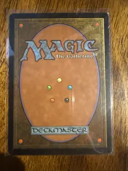 MTG Plains 1998 Unglued UGL Full Art Basic Land LP Christopher Rush MTG - Image 2