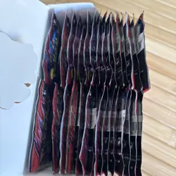Pokemon TCG Destined Rivals Booster Box 31 Pack Sealed - Image 5