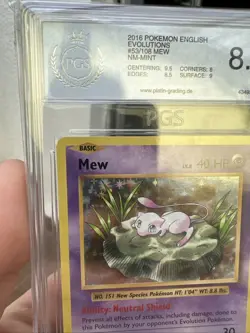 Pokemon Mew #53/108 Evolutions Holo – Englische Version – PGS 8.5 NM-MINT - Image 2
