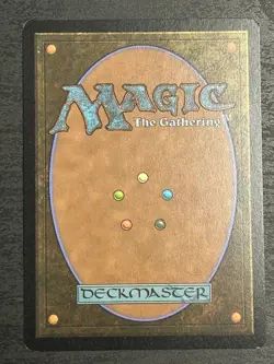 PZA Splinter of the Shadows Ashcoat of the Shadow Swarm Foil Full Art Borderless - Image 2