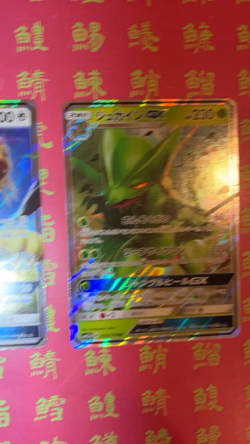 Japanese Pokemon Card Persian 069/095 Sceptile 010/173 NM - Image 2